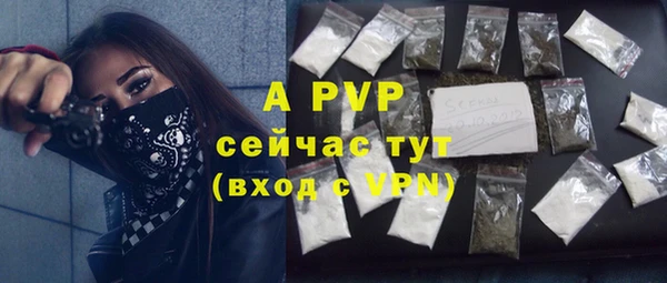 крисы Белоозёрский