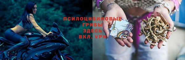 синтетический гашиш Белокуриха