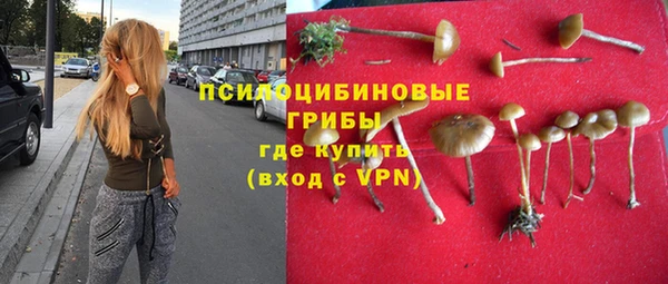 крисы Белоозёрский