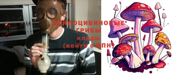 крисы Белоозёрский